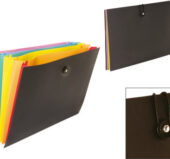 Expanding organizer Rainbow Class (Viquel)
