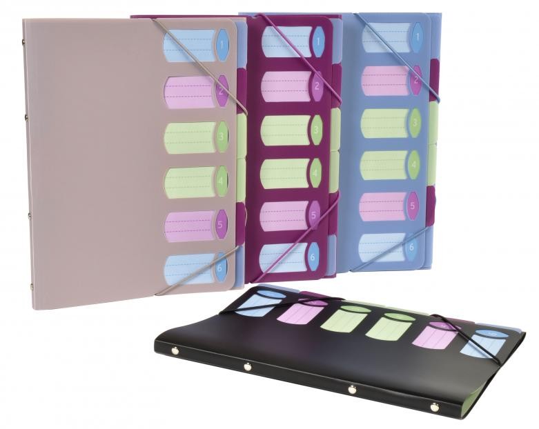 Organiser sa 6 pregrada i gumicom sortirano PVC